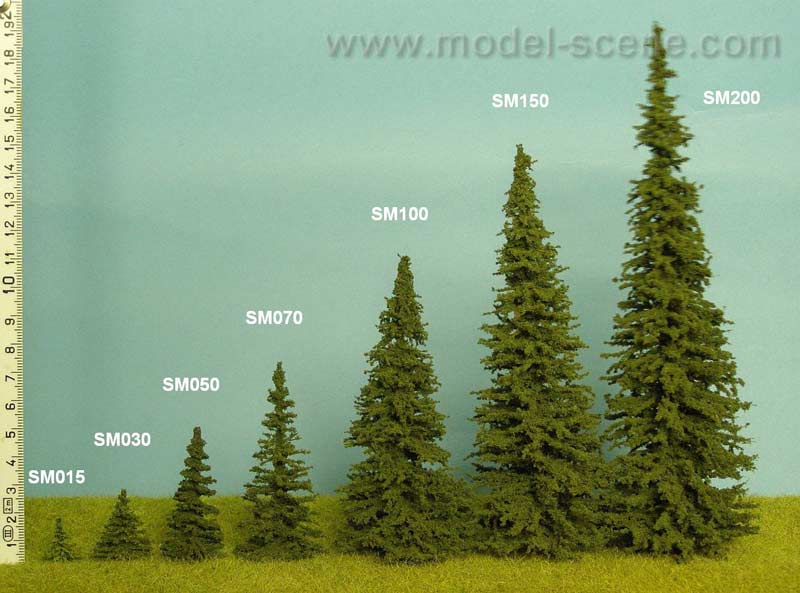 Spruce (140-160mm) - Click Image to Close